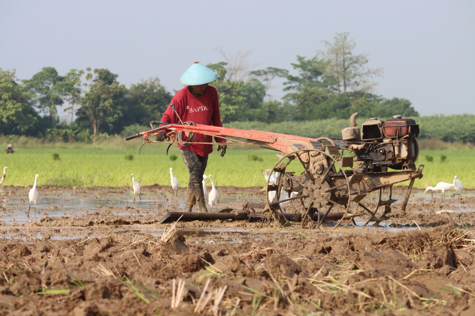 Detail Membajak Sawah Dengan Traktor Nomer 26