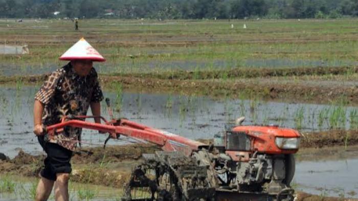 Detail Membajak Sawah Dengan Traktor Nomer 4