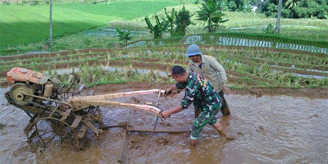 Detail Membajak Sawah Dengan Traktor Nomer 27