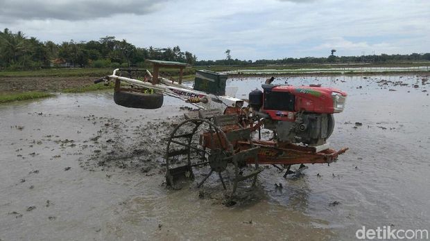 Detail Membajak Sawah Dengan Traktor Nomer 28