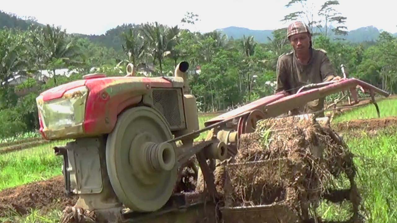 Detail Membajak Sawah Dengan Traktor Nomer 29