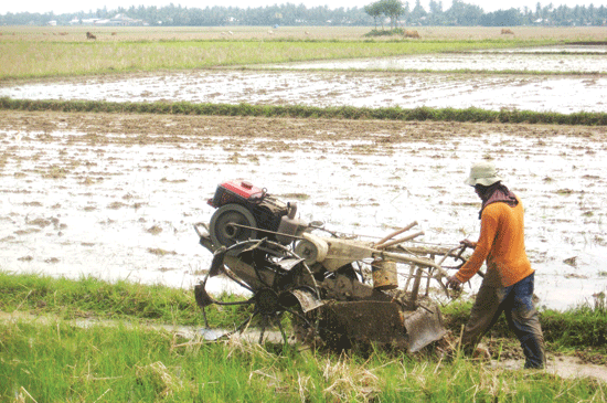 Detail Membajak Sawah Dengan Traktor Nomer 32