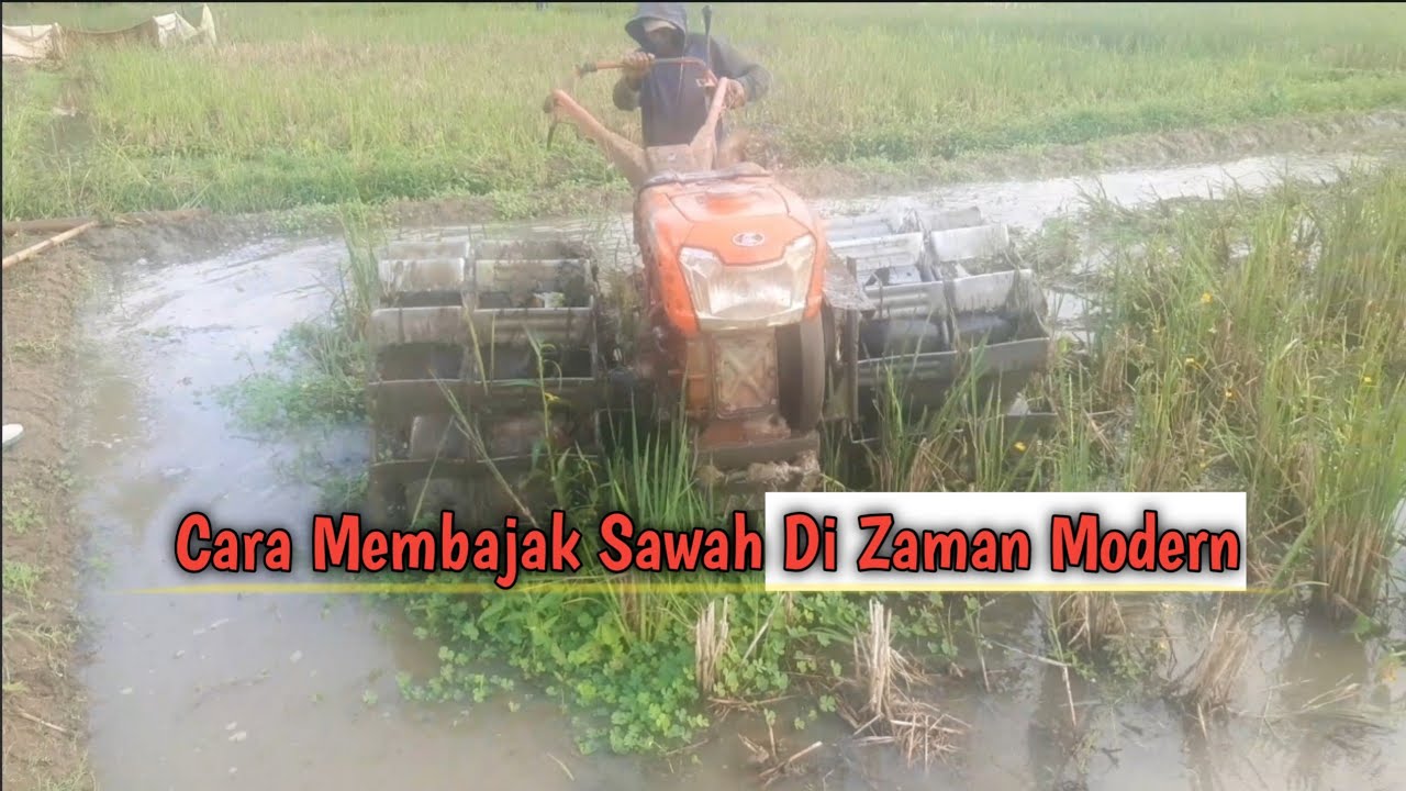 Detail Membajak Sawah Dengan Traktor Nomer 34