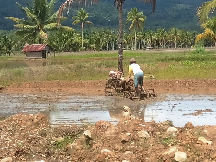 Detail Membajak Sawah Dengan Traktor Nomer 36