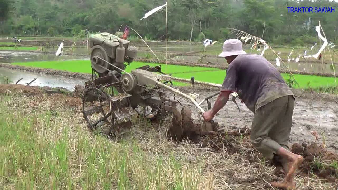 Detail Membajak Sawah Dengan Traktor Nomer 38