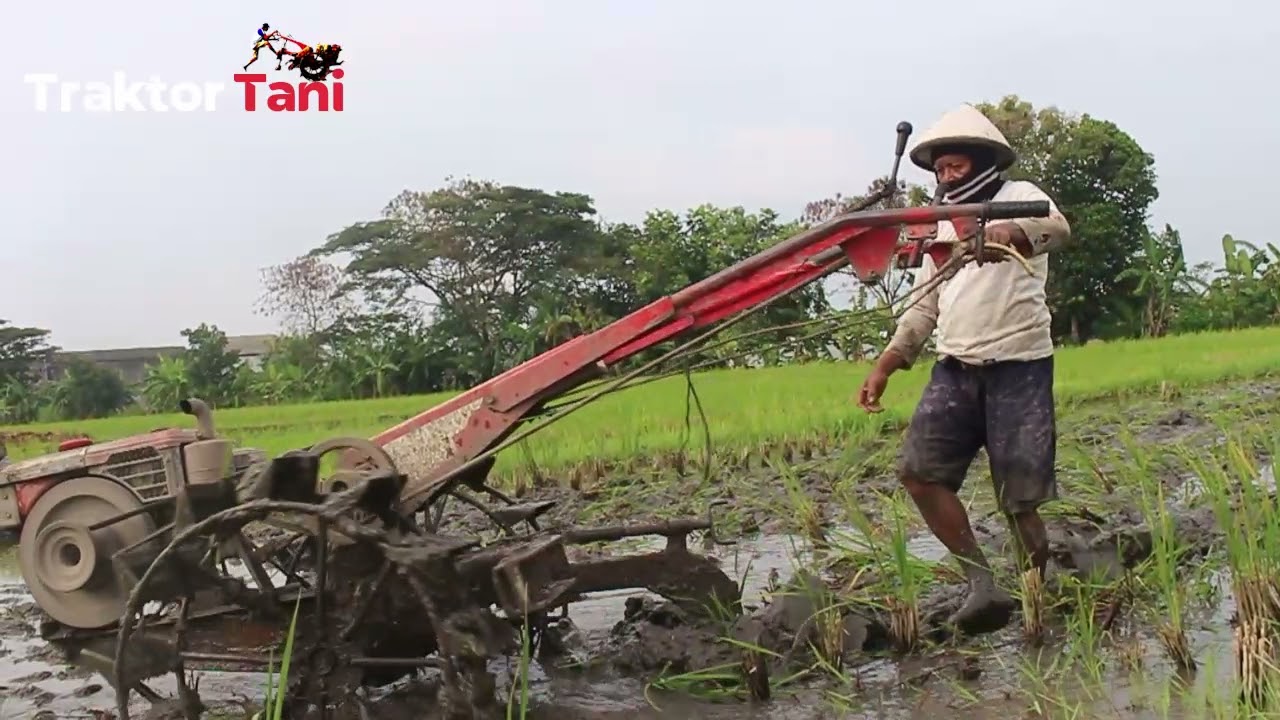 Detail Membajak Sawah Dengan Traktor Nomer 42