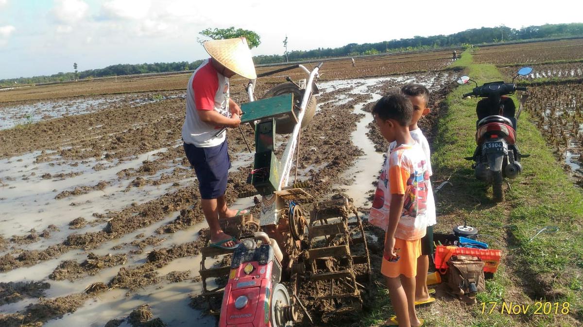 Detail Membajak Sawah Dengan Traktor Nomer 43