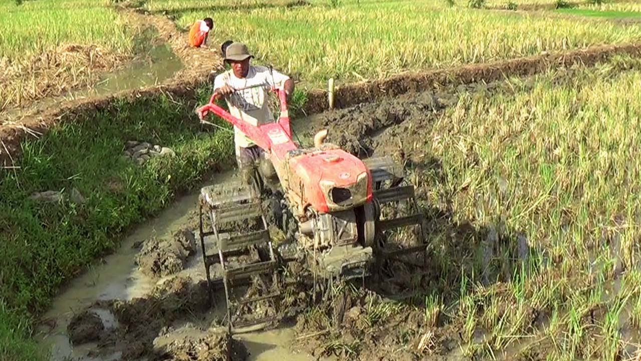 Detail Membajak Sawah Dengan Traktor Nomer 44