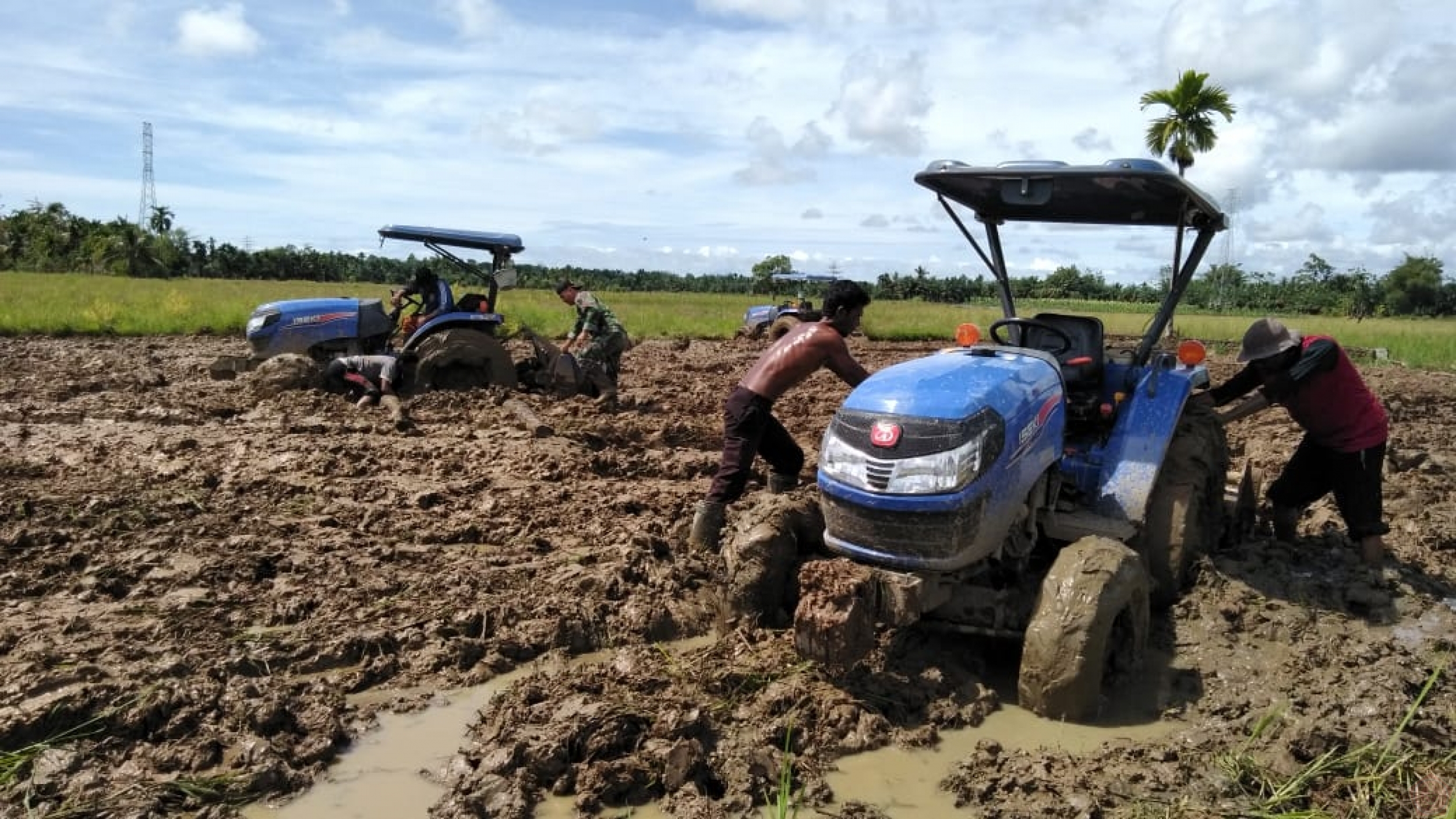 Detail Membajak Sawah Dengan Traktor Nomer 45