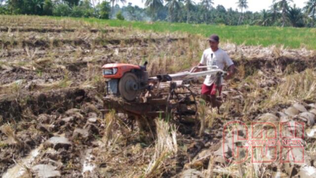 Detail Membajak Sawah Dengan Traktor Nomer 46