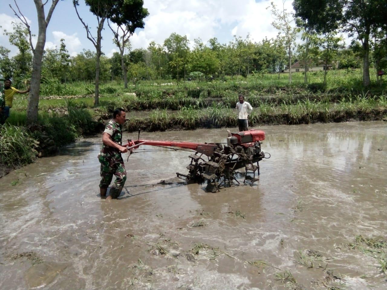 Detail Membajak Sawah Dengan Traktor Nomer 49