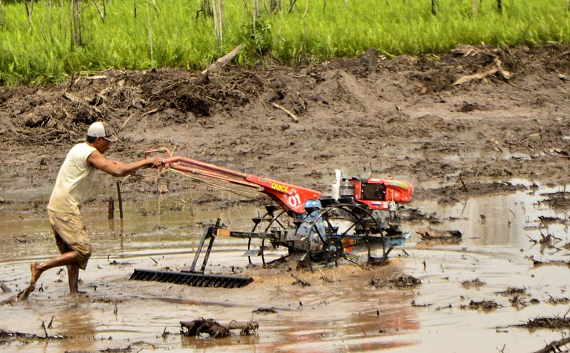 Detail Membajak Sawah Dengan Traktor Nomer 7