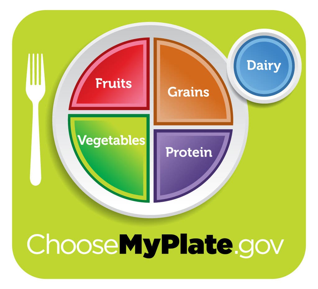 Detail Pics Of Food Pyramid Nomer 50