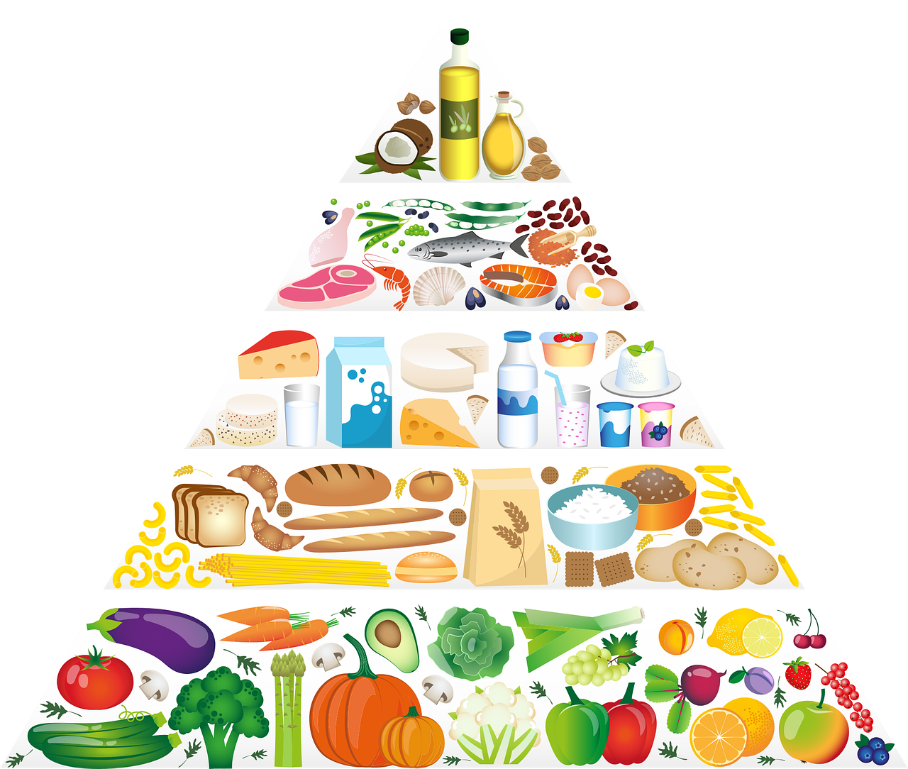 Detail Pics Of Food Pyramid Nomer 53