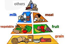 Detail Pics Of Food Pyramid Nomer 56