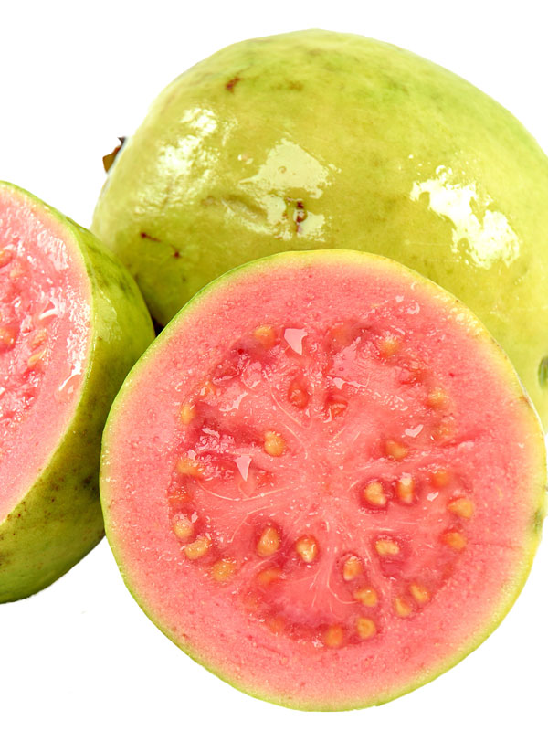 Detail Pics Of Guava Nomer 55