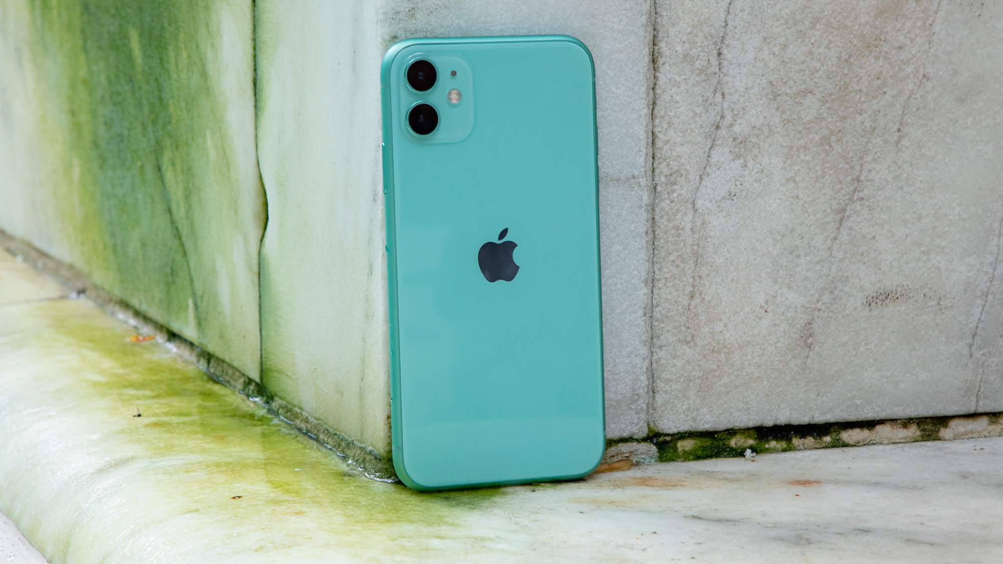 Detail Pics Of Iphone 11 Nomer 15