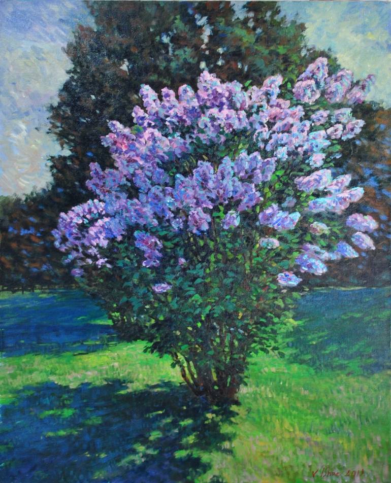 Detail Pics Of Lilac Bushes Nomer 12