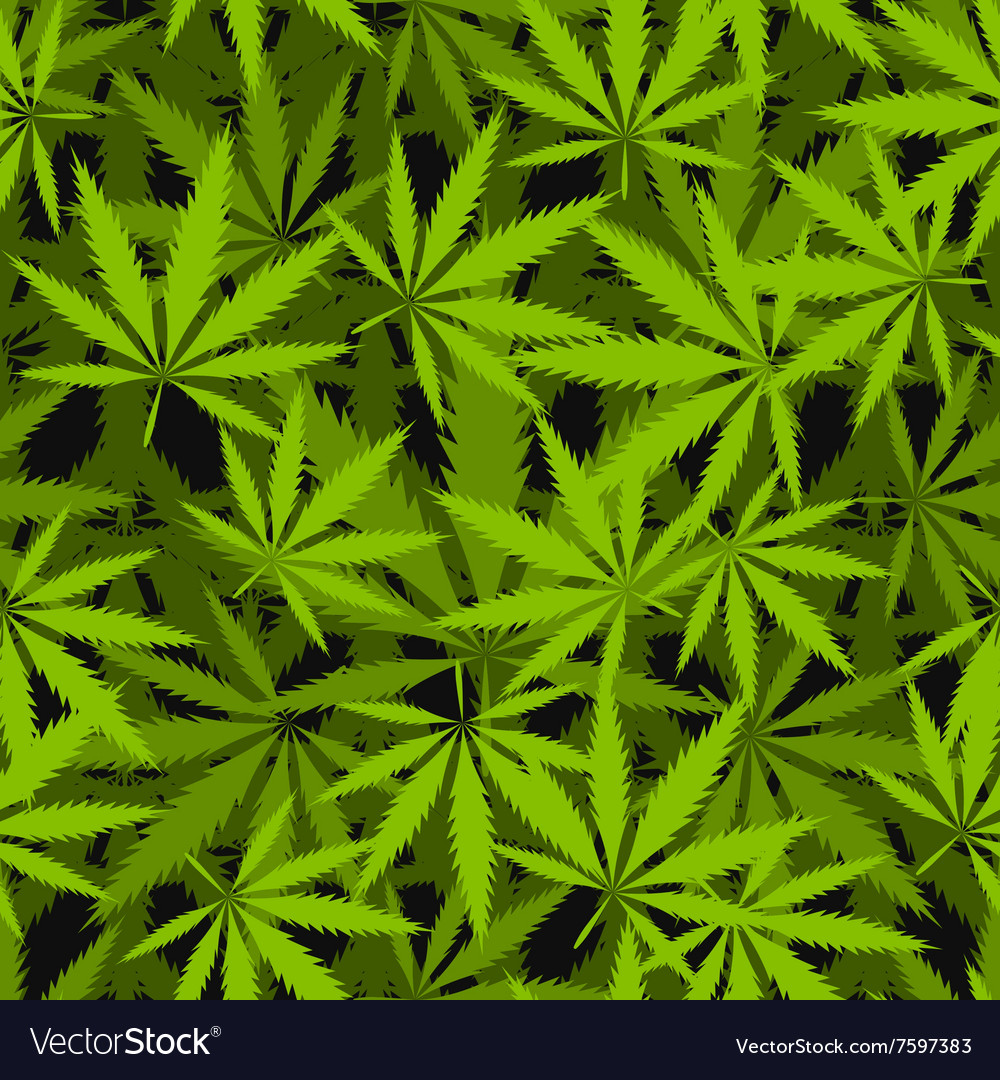 Detail Pics Of Marijuana Leaves Nomer 6