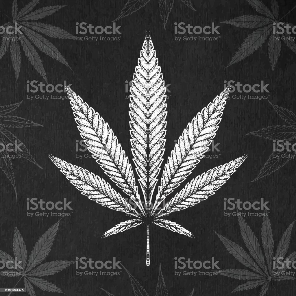 Detail Pics Of Marijuana Leaves Nomer 54