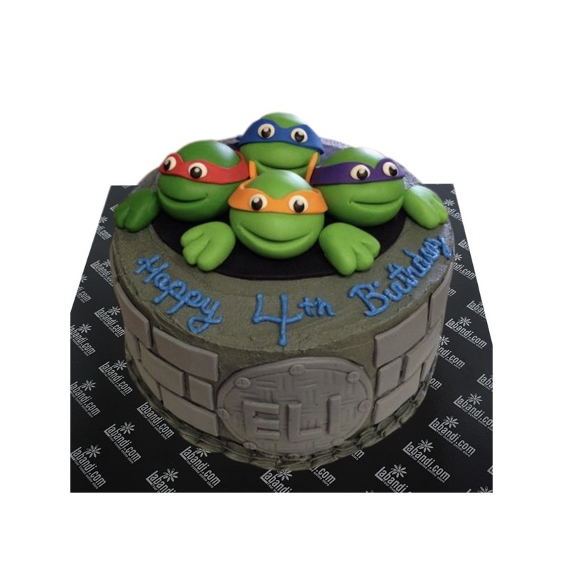 Detail Pics Of Ninja Turtle Cakes Nomer 45