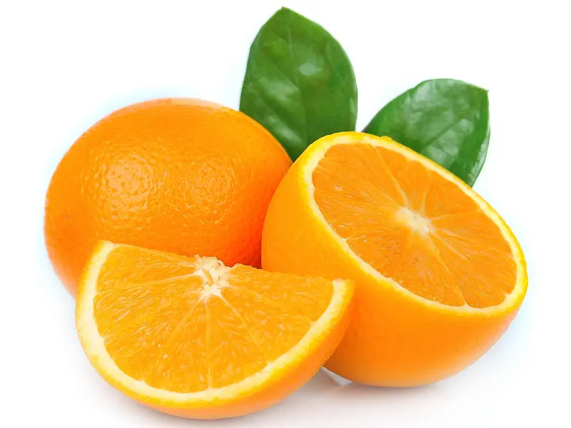 Detail Pics Of Oranges Nomer 28