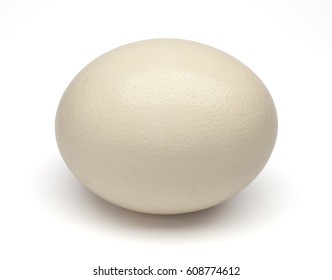 Detail Pics Of Ostrich Eggs Nomer 29