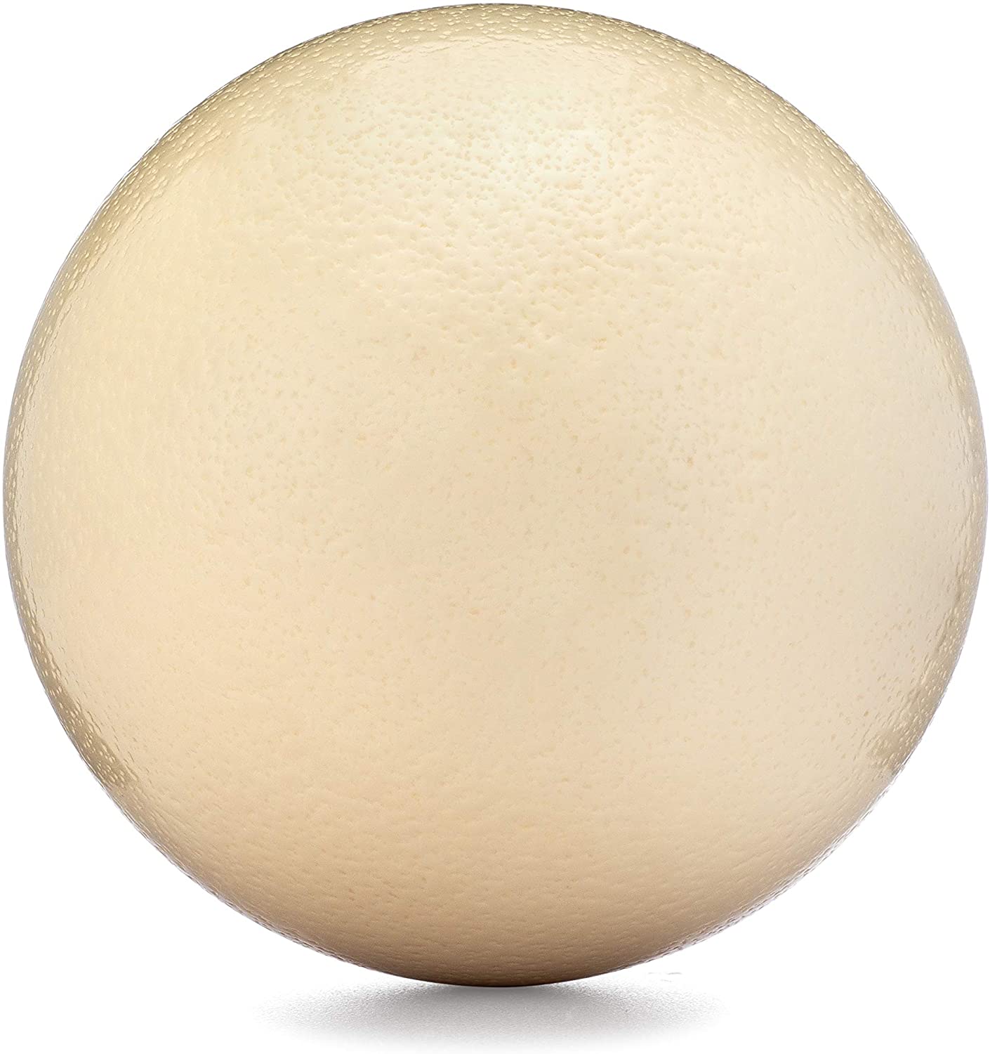 Detail Pics Of Ostrich Eggs Nomer 45