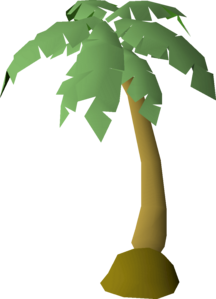 Detail Pics Of Palm Tree Nomer 47