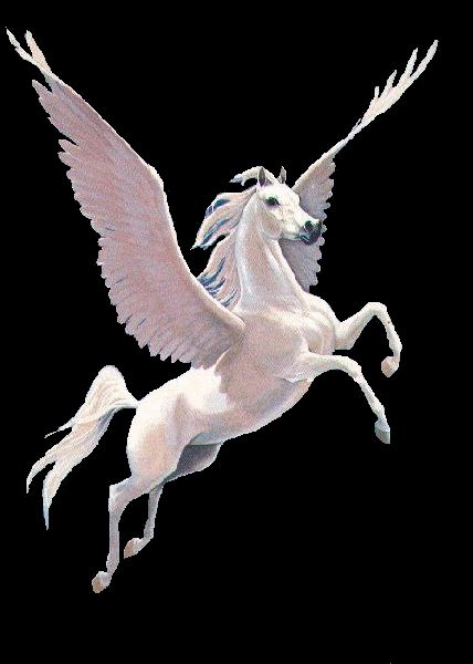 Detail Pics Of Pegasuses Nomer 2