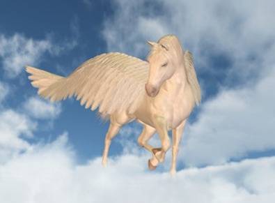 Detail Pics Of Pegasuses Nomer 28