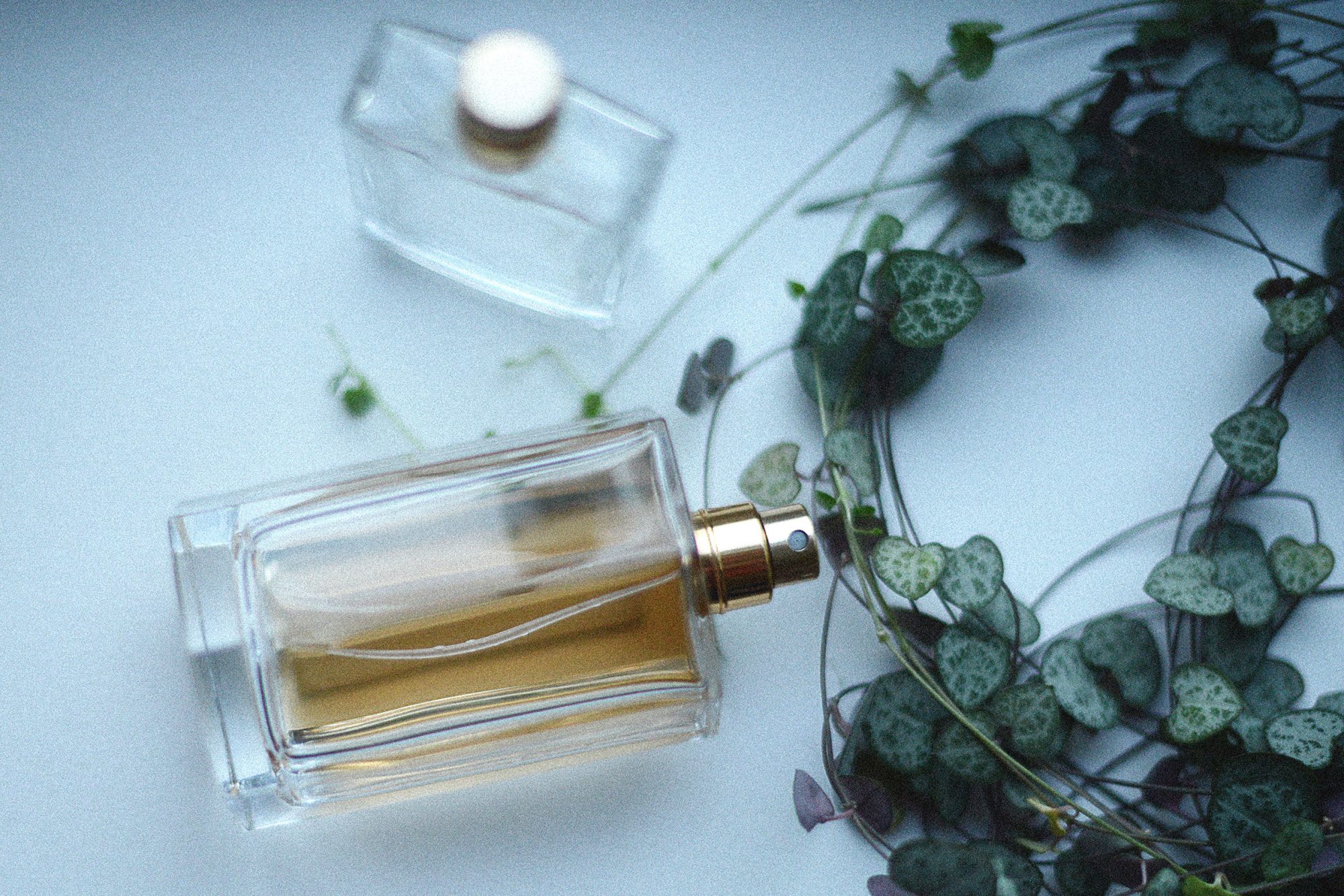 Detail Pics Of Perfumes Nomer 49