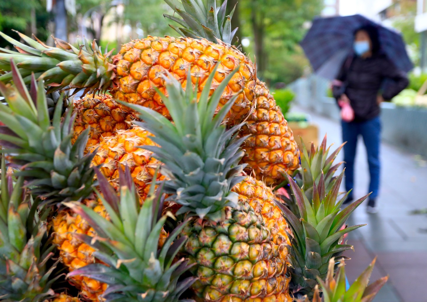 Detail Pics Of Pineapple Nomer 33