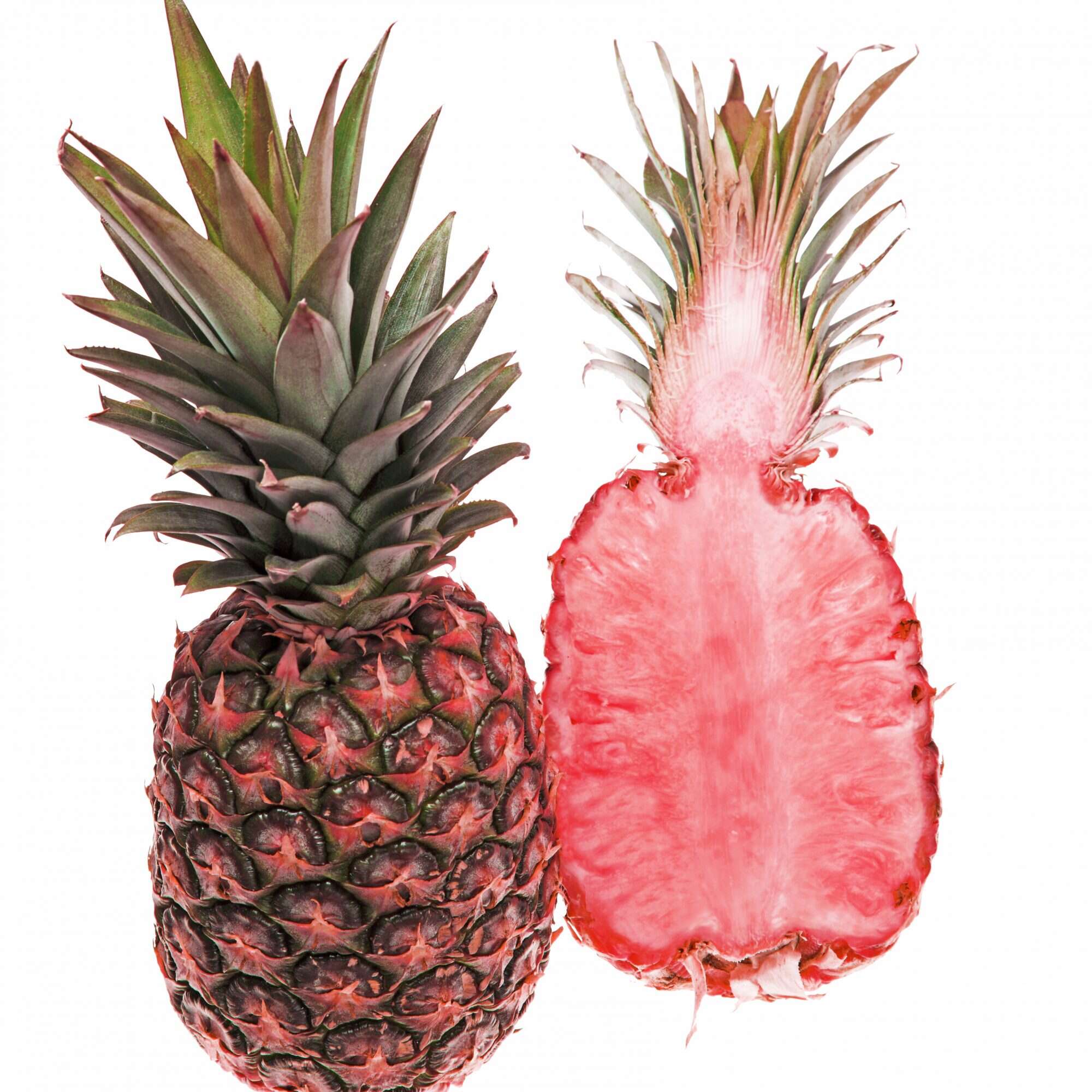 Detail Pics Of Pineapples Nomer 30