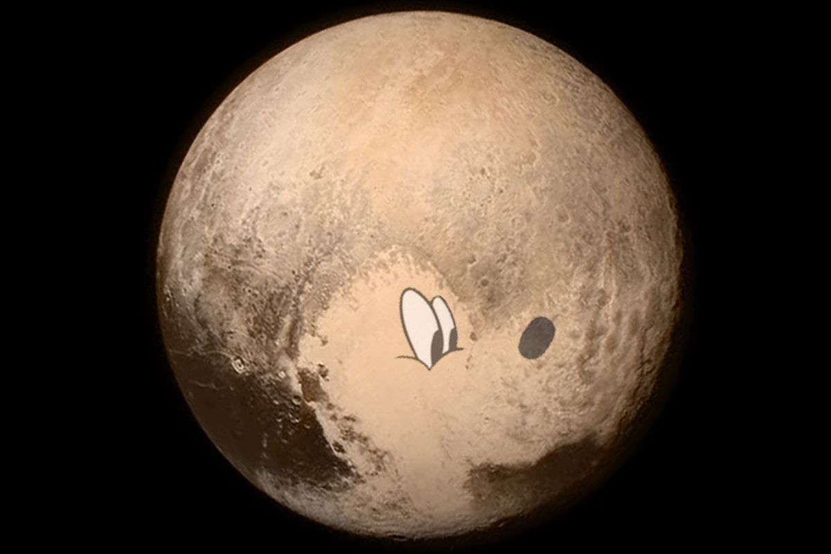 Detail Pics Of Pluto The Dog Nomer 2