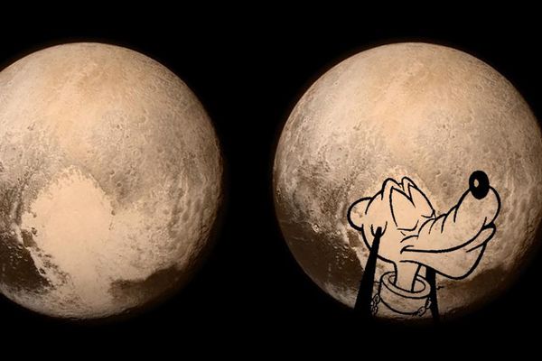 Detail Pics Of Pluto The Dog Nomer 7