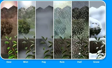 Detail Pics Of Precipitation Nomer 17