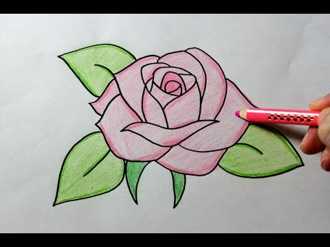 Detail Pics Of Roses Drawings Nomer 25