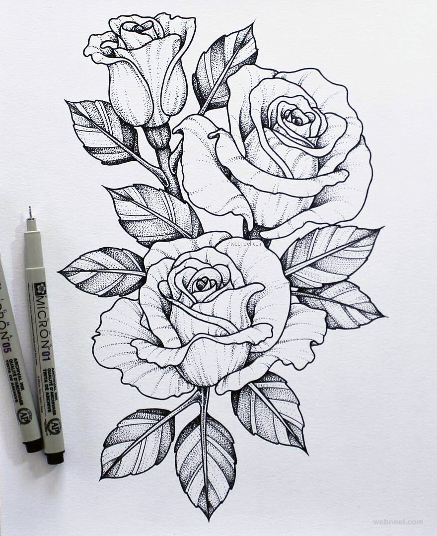 Detail Pics Of Roses Drawings Nomer 35