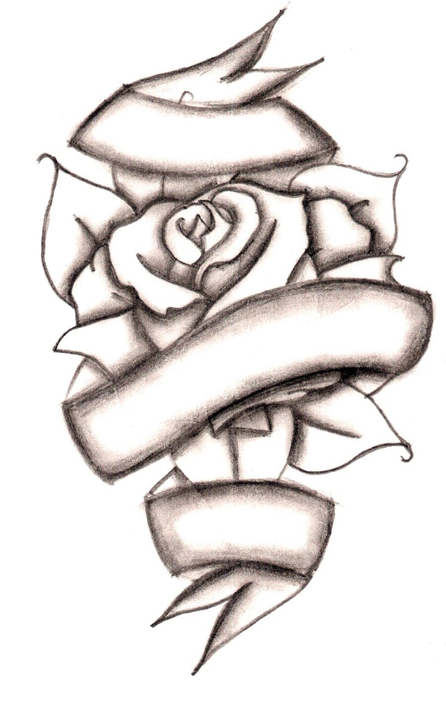 Detail Pics Of Roses Drawings Nomer 39