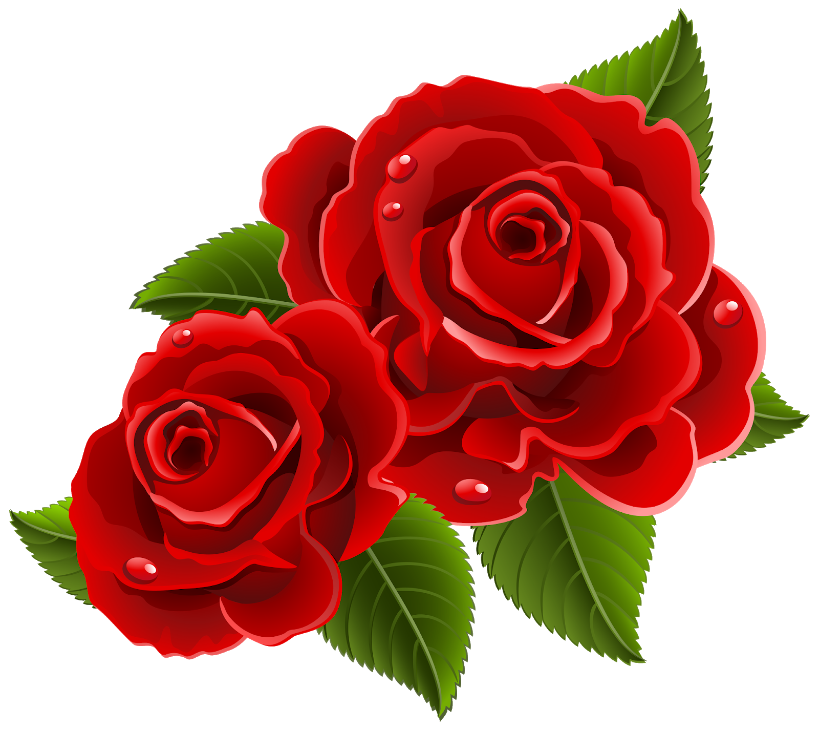 Detail Pics Of Roses To Download Nomer 29