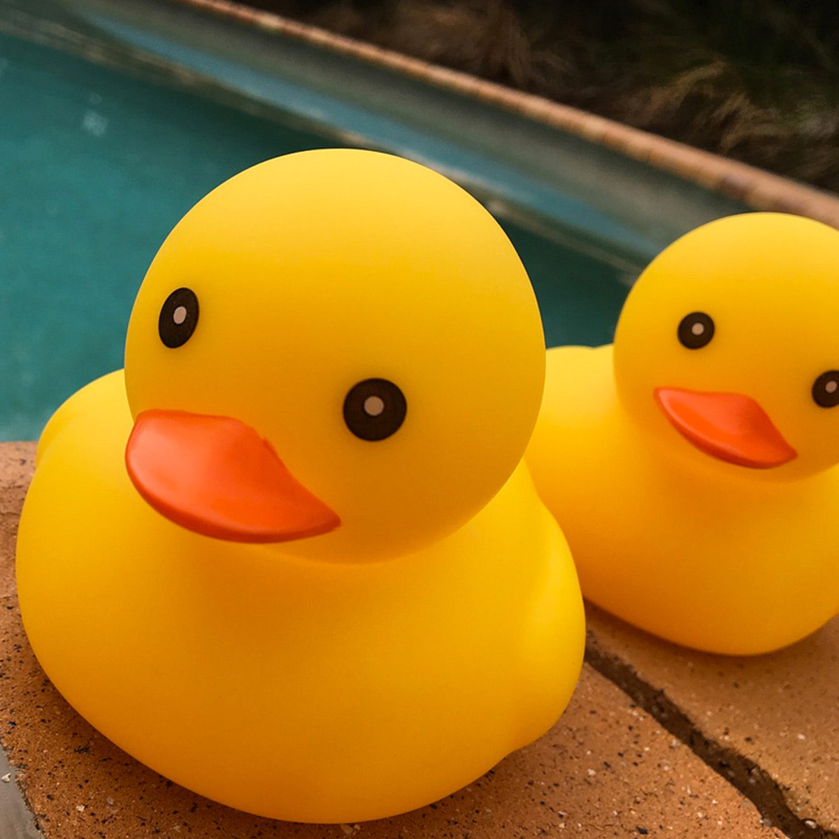 Detail Pics Of Rubber Duck Nomer 24