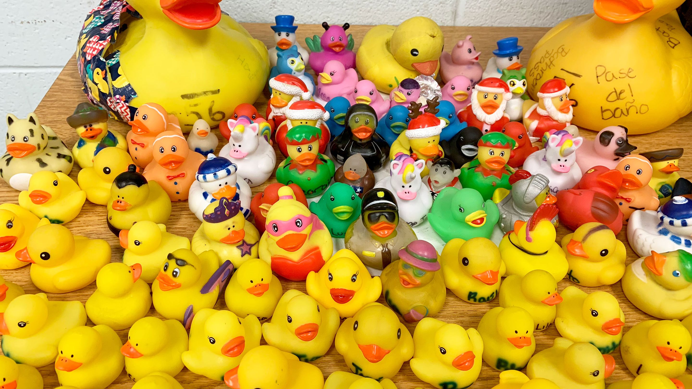 Detail Pics Of Rubber Duck Nomer 38