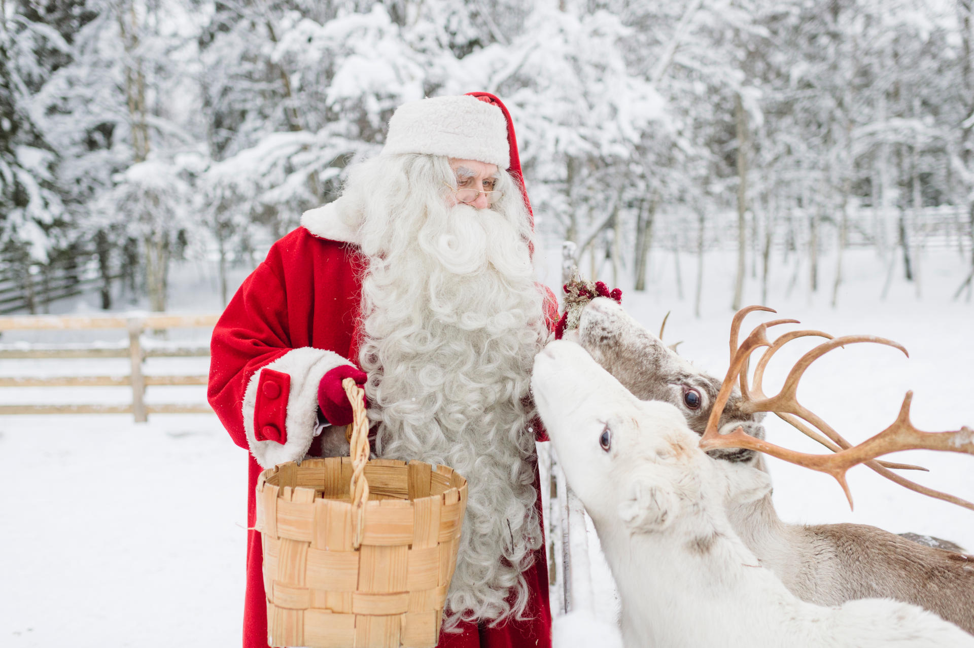 Detail Pics Of Santa Claus And His Reindeer Nomer 3