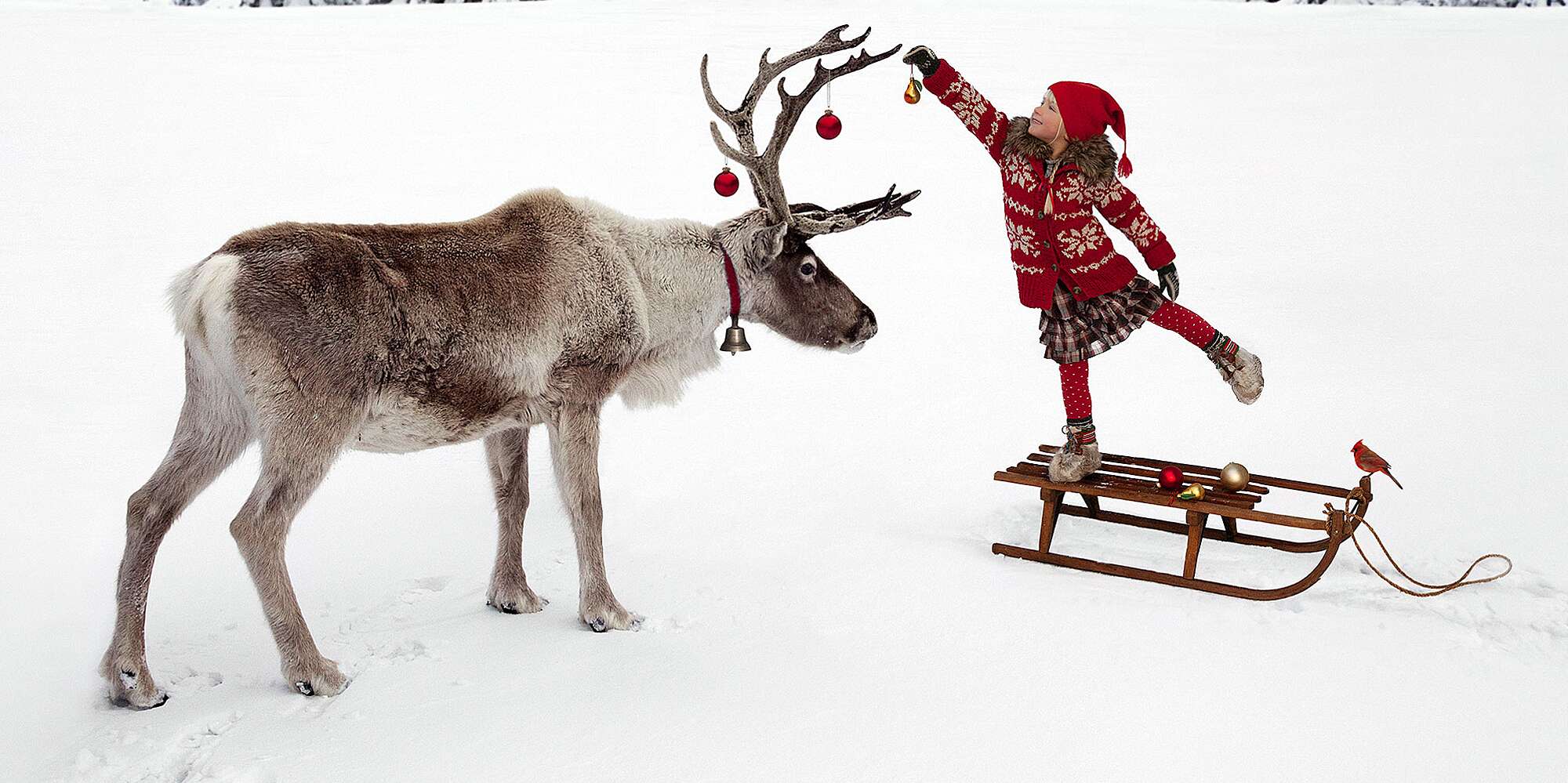 Detail Pics Of Santa Claus And His Reindeer Nomer 31