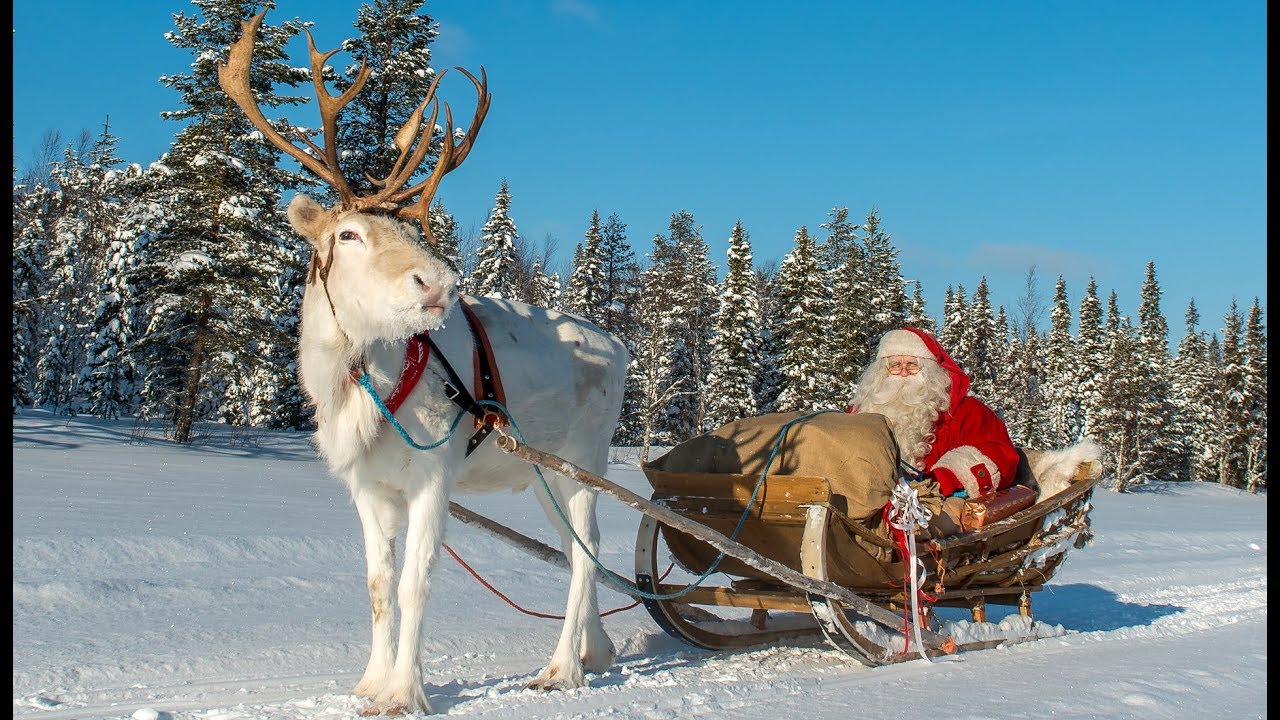 Detail Pics Of Santa Claus And His Reindeer Nomer 49