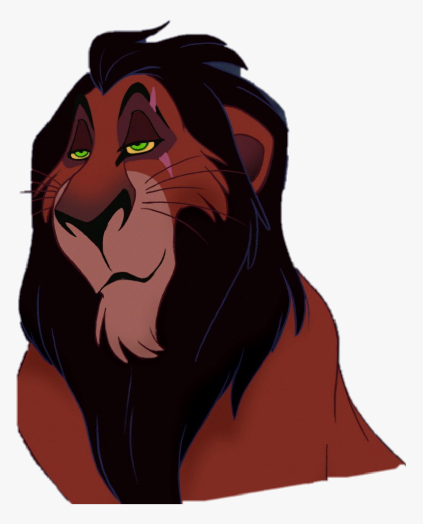 Detail Pics Of Scar From Lion King Nomer 28