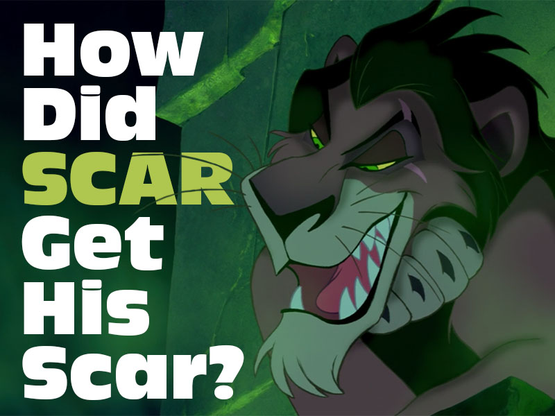 Detail Pics Of Scar From Lion King Nomer 40