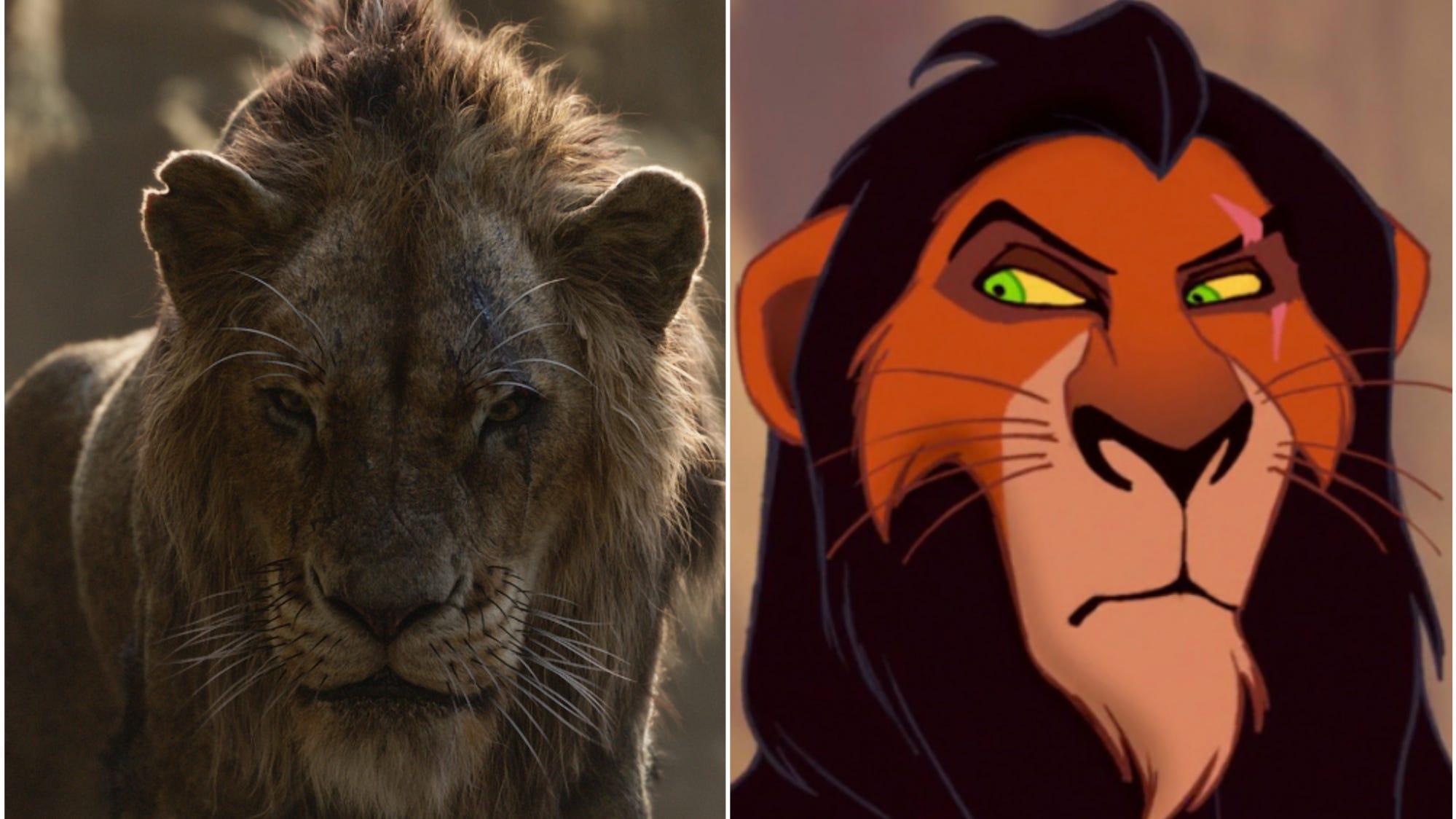 Detail Pics Of Scar From Lion King Nomer 52