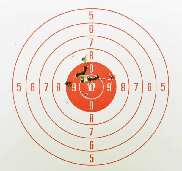 Detail Pics Of Shooting Targets Nomer 54